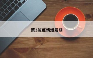 第3波疫情爆发期