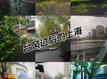  上海疫情始末最新情况视频播放(上海炒米粉事件始末视频播放)