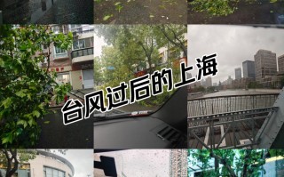  上海疫情始末最新情况视频播放(上海炒米粉事件始末视频播放)