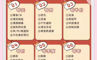  三年内打过狂犬疫苗第二次打几针啊(三年之内打了三次狂犬疫苗对身体有害吗)