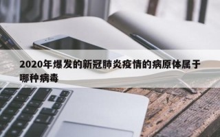 2020年爆发的新冠肺炎疫情的病原体属于哪种病毒