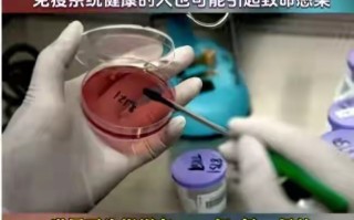  中国疫情什么时候爆发的最新消息(中国疫情爆发时间)