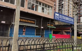  武汉封城时间线(武汉“封城”的历史背景)