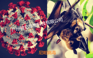  今年新出来的病毒(今年新出来的病毒叫啥)