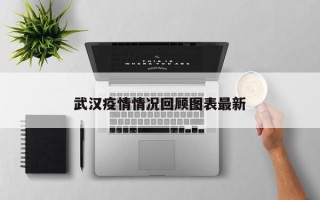 武汉疫情情况回顾图表最新