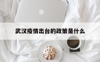  武汉疫情出台的政策是什么(武汉疫情政策本地宝)