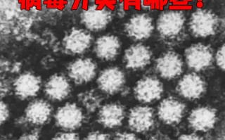  现在流行的疾病是啥病毒(现在什么病毒出现了)