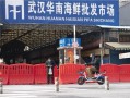  武汉封城的时间为几点(武汉疫情日期开始)