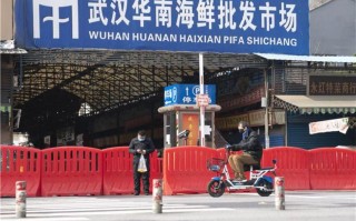  武汉封城的时间为几点(武汉疫情日期开始)