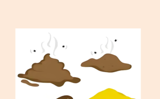  病毒拉肚子什么症状(病毒拉肚子是什么原因)