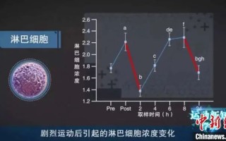  武汉开什么运动会引起的疫情呢(疫情期间运动会)