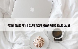疫情是去年什么时候开始的呢英语怎么说