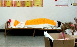  毛老太的行为影响他家三代人(毛老太是何方人士)