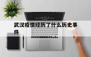  武汉疫情经历了什么历史事件(武汉疫情经历了什么历史事件呢)