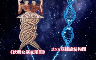  什么是朊病毒基因(朊病毒是如何产生的)