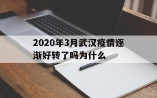  2020年3月武汉疫情逐渐好转了吗为什么(武汉疫情之后焕发生机)