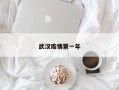 武汉疫情第一年