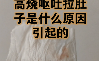 又吐又拉的是怎么了(又吐又拉怎么办?)