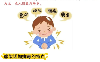  诺如病毒简介(诺如病毒不吃药会自愈吗)