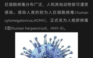  最近出来的病毒叫什么名字啊图片(最近出来的病毒叫什么名字啊图片视频)