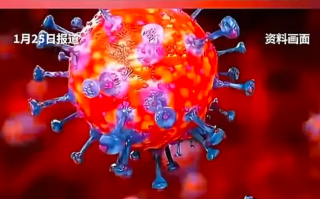  疫情发生于几月几日?(疫情发生于什么时候?)