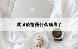  武汉疫情是什么病毒了(武汉疫情是怎么回事?)