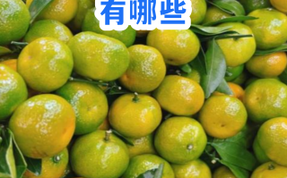  病毒水果的图片(疱疹病毒图片)