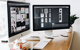 新冠病毒疫情：起源、蔓延与结束的英语表述