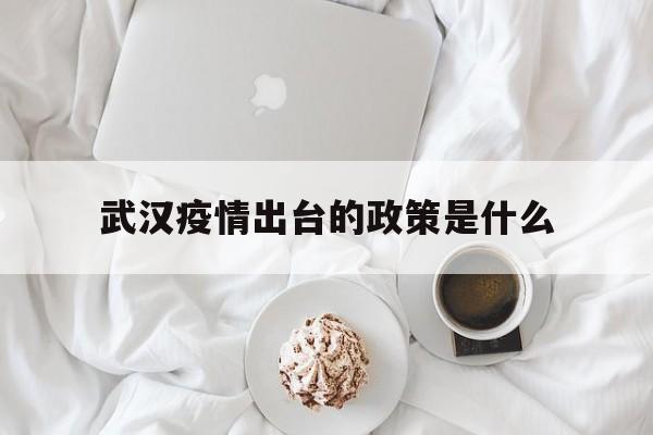  武汉疫情出台的政策是什么(武汉疫情政策本地宝)