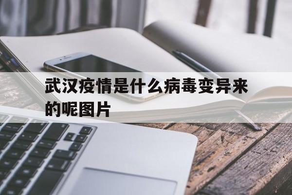  武汉疫情是什么病毒变异来的呢图片(武汉疫情是什么病毒变异来的呢图片大全)