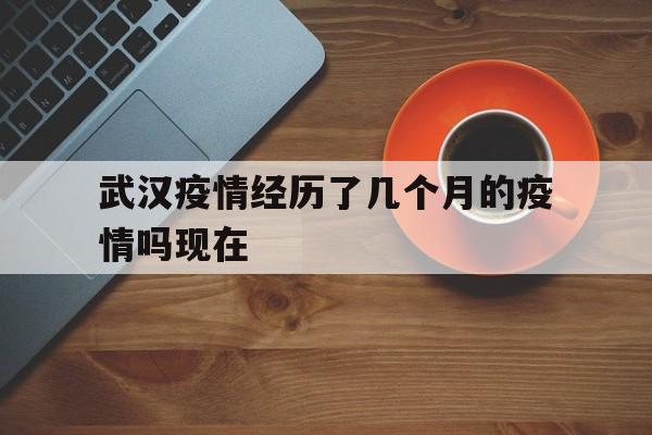  武汉疫情经历了几个月的疫情吗现在(武汉几月份最冷)