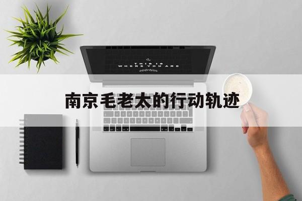  南京毛老太的行动轨迹(南京大屠真实故事简短的介绍)