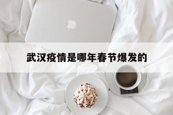  武汉疫情是哪年春节爆发的(武汉疫情爆发于哪一年)