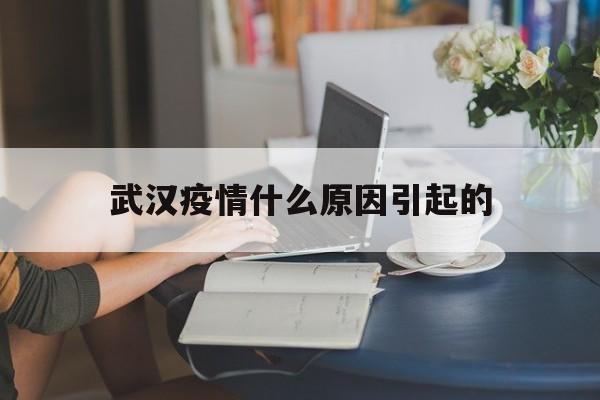  武汉疫情什么原因引起的(武汉疫情因什么而起)