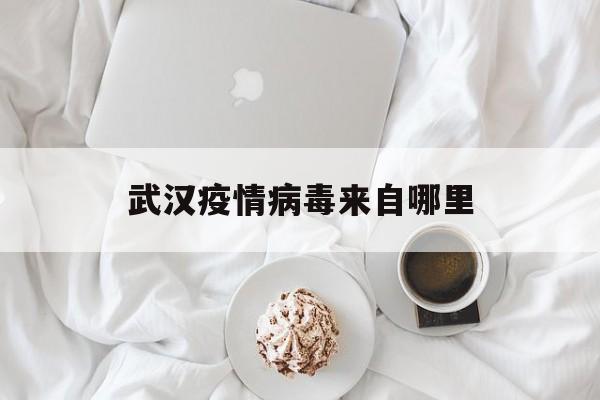  武汉疫情病毒来自哪里(武汉的疫情到底来自哪里)