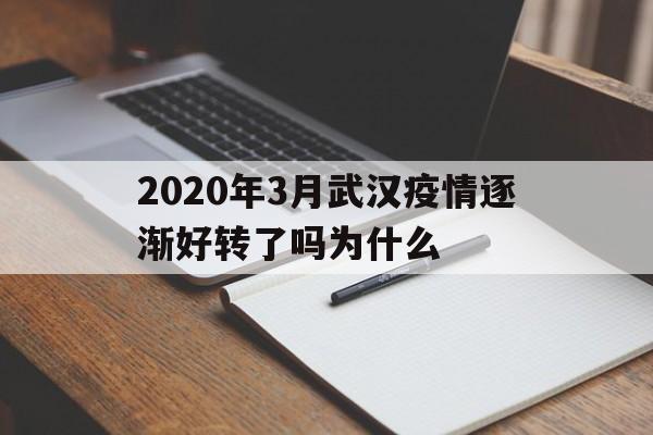  2020年3月武汉疫情逐渐好转了吗为什么(武汉疫情之后焕发生机)