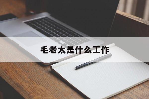  毛老太是什么工作(毛老太的工作)