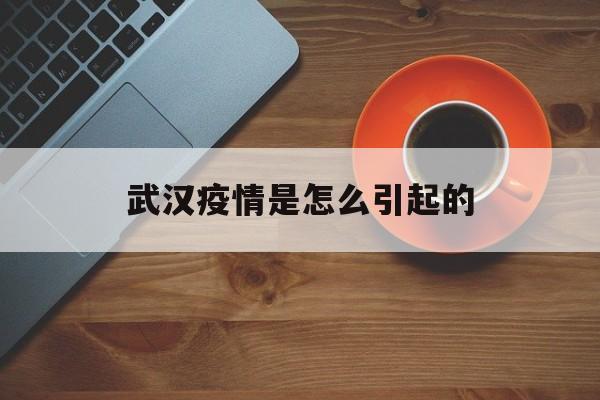  武汉疫情是怎么引起的(武汉疫情怎么爆发的真正原因)