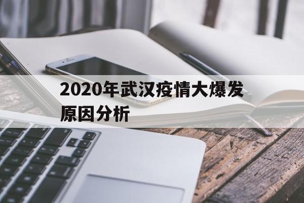  2020年武汉疫情大爆发原因分析(武汉疫情防控最新政策)
