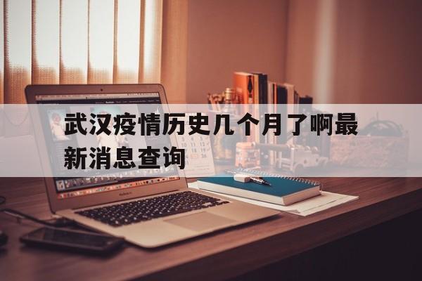  武汉疫情历史几个月了啊最新消息查询(武汉晚报历史查询)