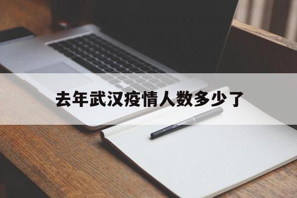  去年武汉疫情人数多少了(去年武汉疫情总共多少人)