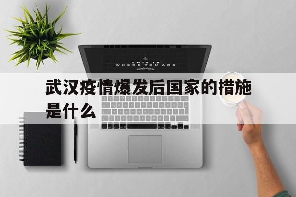  武汉疫情爆发后国家的措施是什么(武汉疫情爆发政府的应对)