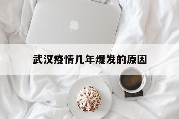  武汉疫情几年爆发的原因(武汉疫情几年爆发的原因分析)